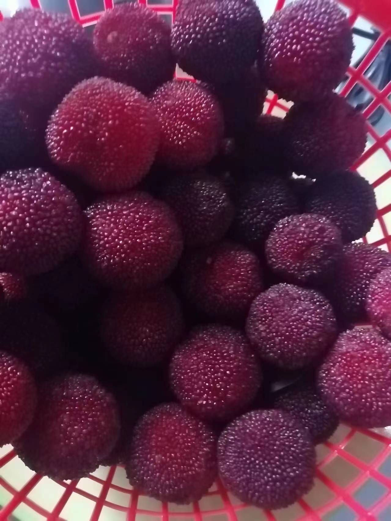 合肥添秋科技有限公司